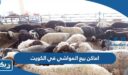 اماكن بيع المواشي في الكويت 2026