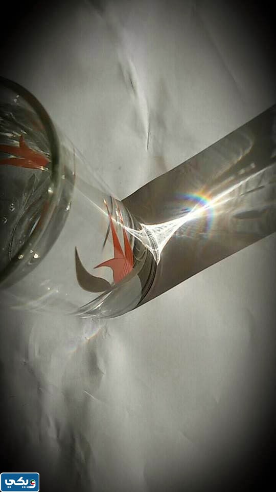 تجربة قوس قزح