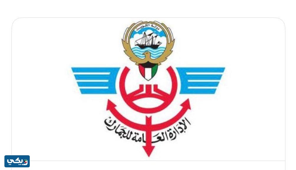 تفاصيل قرار إعفاء الشحنات الشخصية من الإحالة إلى هيئة الصناعة