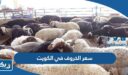 كم سعر الخروف في الكويت 2026 بالدينار الكويتي