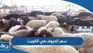 كم سعر الخروف في الكويت 2026 بالدينار الكويتي