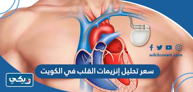 سعر تحليل إنزيمات القلب في الكويت