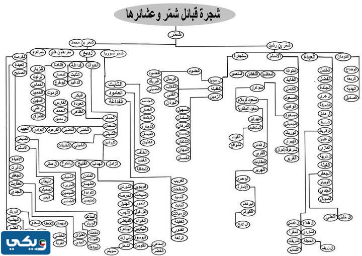 شجرة قبيلة شمر كاملة بالصور - ويكي الكويت