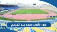 صور ملعب محمد عبد المنعم