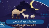 معايدات بمناسبة عيد الاضحى المبارك 2026 “تهاني وتبريكات عيد الاضحى” معايدات بمناسبة عيد الاضحى المبارك 2026 “تهاني وتبريكات عيد الاضحى”