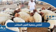 أضاحي جمعية العون المباشر 2023 الاسعار وطريقة التبرع أضاحي جمعية العون المباشر 2023 الاسعار وطريقة التبرع