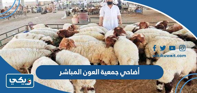 أضاحي جمعية العون المباشر