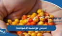 تجربتي مع عشبة الاشواجندا من بيت الاعشاب الكويت
