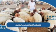 قائمة جمعيات الاضاحي في الكويت 2023 (الاسعار، طرق التبرع، التواصل) قائمة جمعيات الاضاحي في الكويت 2023 (الاسعار، طرق التبرع، التواصل)