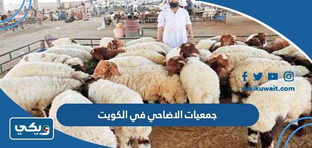 جمعيات الاضاحي في الكويت