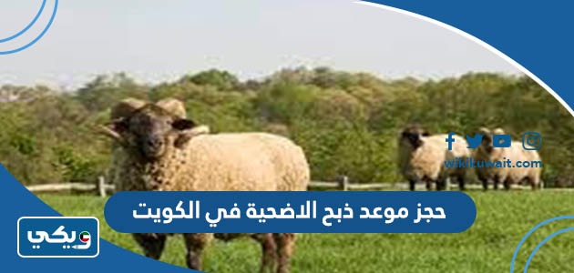 حجز موعد ذبح الاضحية في الكويت