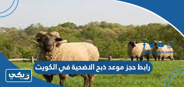 رابط حجز موعد ذبح الاضحية في الكويت
