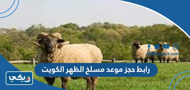 رابط حجز موعد مسلخ الظهر الكويت
