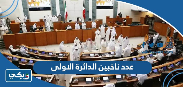 عدد ناخبين الدائرة الأولى