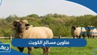عناوين وارقام مسالخ الكويت 2026 عناوين وارقام مسالخ الكويت 2026