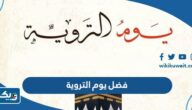 ما هو فضل يوم التروية وما هو فضل صيامه ما هو فضل يوم التروية وما هو فضل صيامه