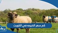 كم سعر الذبيحه في الكويت 2026