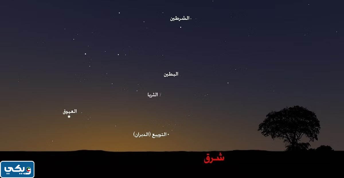 متى يبدأ موسم التويبع في الكويت 2023