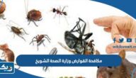 رقم مكافحة القوارض في وزارة الصحة الشويخ وطرق التواصل رقم مكافحة القوارض في وزارة الصحة الشويخ وطرق التواصل