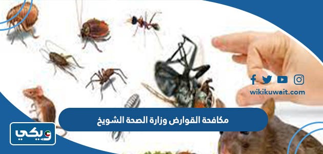 مكافحة القوارض وزارة الصحة الشويخ