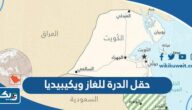 معلومات عن حقل الدرة للغاز ويكيبيديا معلومات عن حقل الدرة للغاز ويكيبيديا