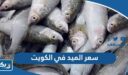 كم سعر سمك الميد في الكويت 2026