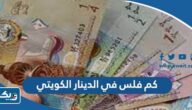 كم فلس في الدينار الكويتي كم فلس في الدينار الكويتي
