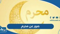 صور وخلفيات عن شهر محرم ، رمزيات عاشوراء صور وخلفيات عن شهر محرم ، رمزيات عاشوراء