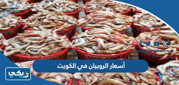 أسعار الروبيان في الكويت