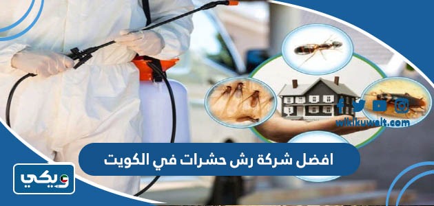 افضل شركة رش حشرات في الكويت مع الاسعار