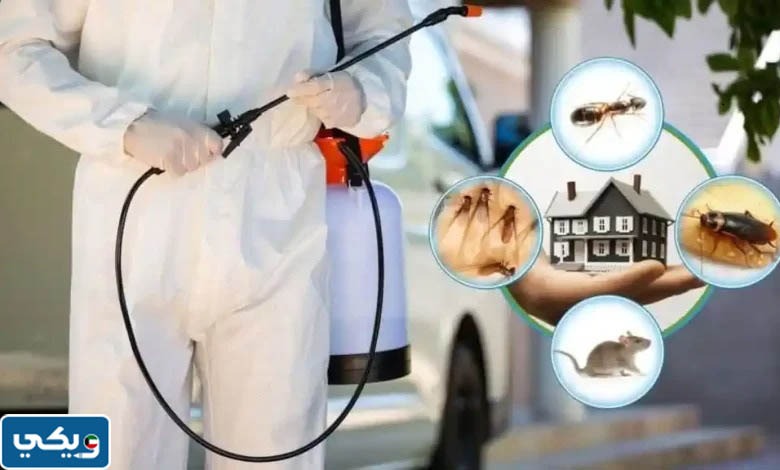 افضل شركة رش حشرات في الكويت
