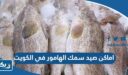 اماكن صيد سمك الهامور في الكويت
