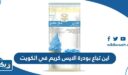 اين تباع بودرة الايس كريم في الكويت