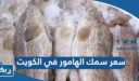 سعر سمك الهامور في الكويت