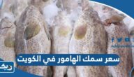 كم سعر سمك الهامور في الكويت 2025