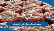 كم سعر كيلو الروبيان في الكويت 2025