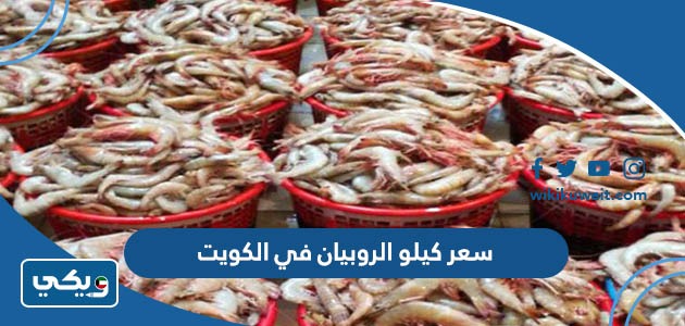 سعر كيلو الروبيان في الكويت