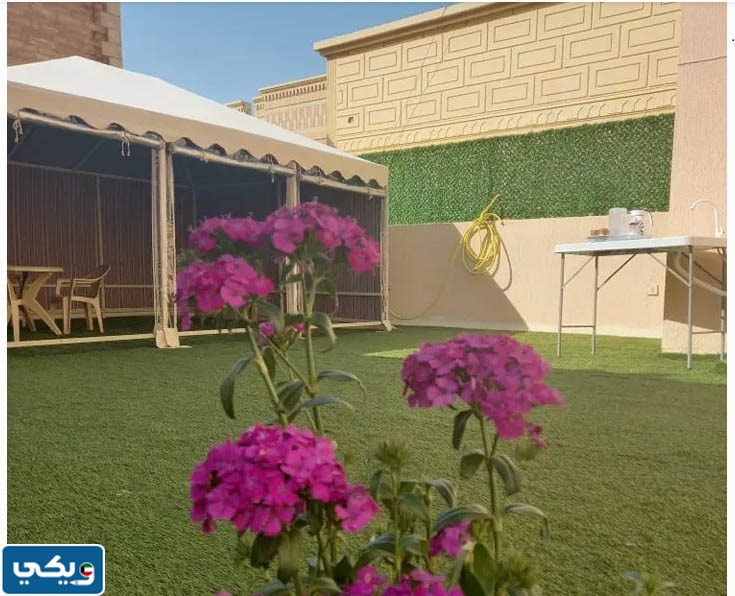 تنسيق حدائق الكويت انستقرام