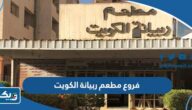 كم عدد فروع مطعم ربيانة الكويت 2025 كم عدد فروع مطعم ربيانة الكويت 2025