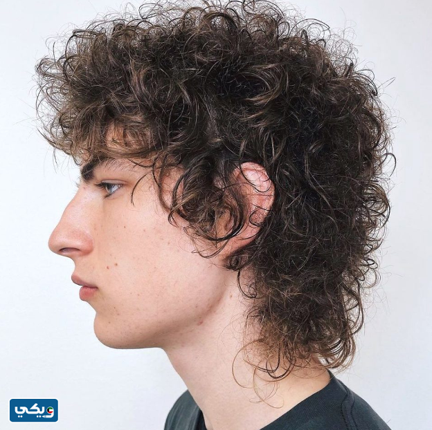 قصات شعر للرجال مدرج كيرلي