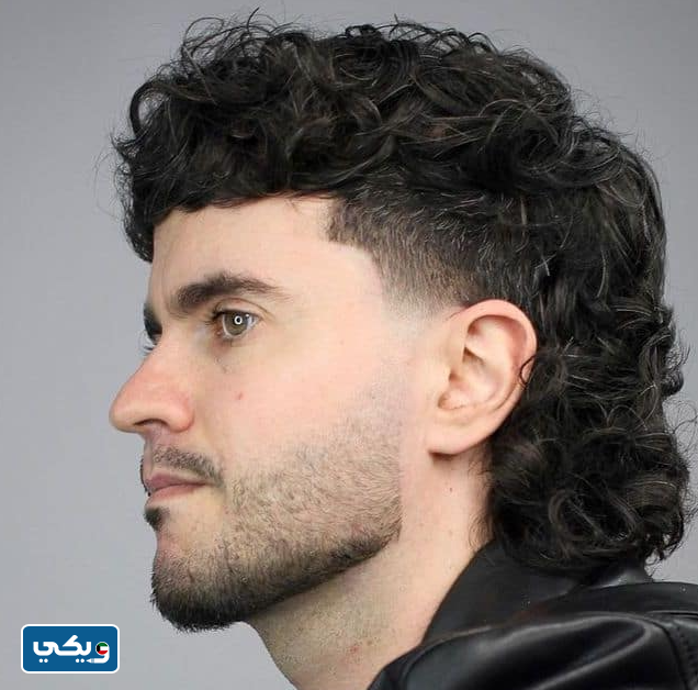 قصات شعر للرجال مدرج كيرلي