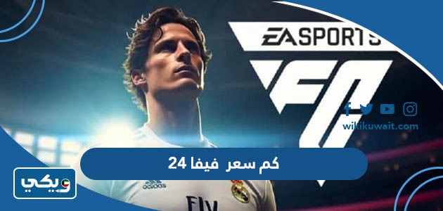 كم سعر فيفا 24