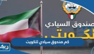 كم صندوق سيادي للكويت