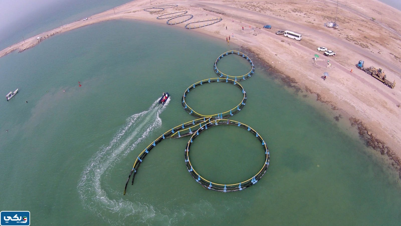 ما معنى كلمة جون الكويت