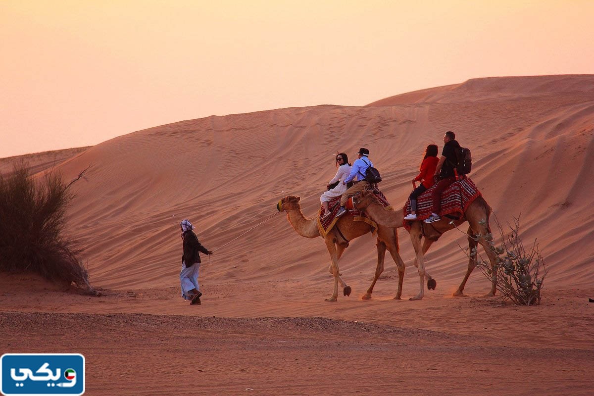 ما هي أصول البدون في الكويت