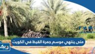 متى ينتهي موسم جمرة القيظ في الكويت 2024 متى ينتهي موسم جمرة القيظ في الكويت 2024