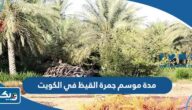 كم مدة موسم جمرة القيظ في الكويت 2025 كم مدة موسم جمرة القيظ في الكويت 2025