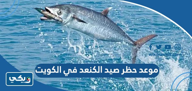 موعد حظر صيد الكنعد في الكويت