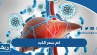 كم سعر الكبد بالدينار الكويتي كم سعر الكبد بالدينار الكويتي