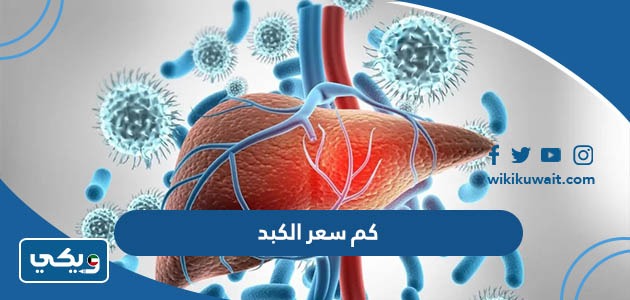كم سعر الكبد